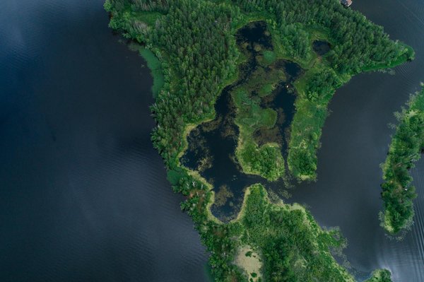 Découvrez le monde fascinant du téléphone rose : un guide complet