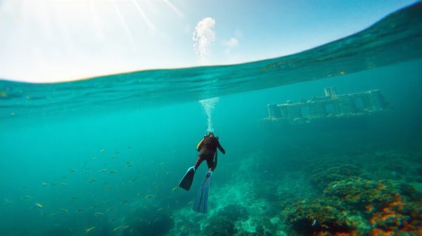Découvrez les trésors cachés de Marina di Pietrasanta en plongée
